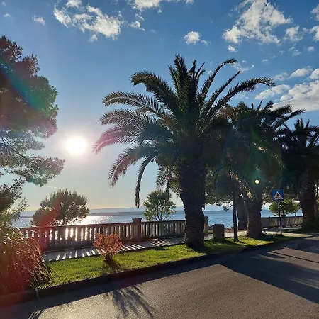 Hundefreundliches Studio-apartment Nur 580 Meter Zum Mit Parkplatz Appartement